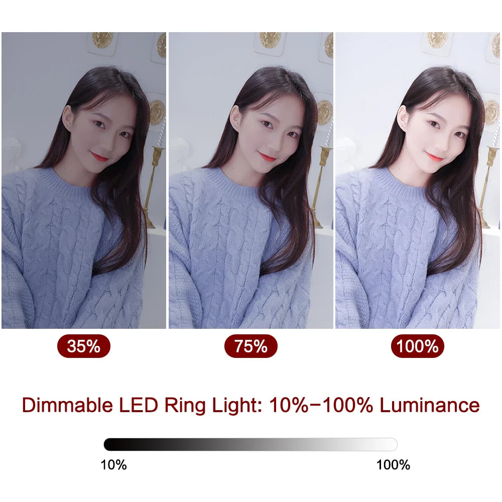 Anneau lumineux Led pour Selfie, 26cm, 10 pouces, Kit d'éclairage pour photographie, lampe de Charge Usb avec trépied pour vidéo en direct, 120 perles