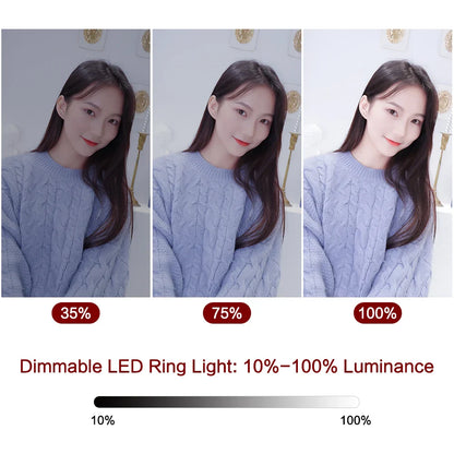 Anneau lumineux Led pour Selfie, 26cm, 10 pouces, Kit d'éclairage pour photographie, lampe de Charge Usb avec trépied pour vidéo en direct, 120 perles