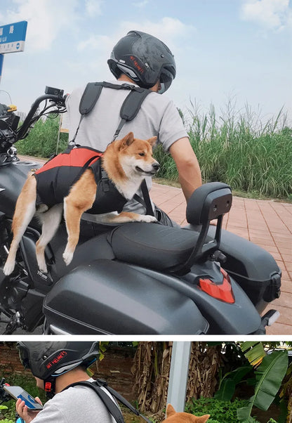 Sac à dos de voyage pour animaux de compagnie (3 tailles), porte-épaule, randonnée en plein air, marche, Durable et confortable, en tissu Oxford, pour chien/chat