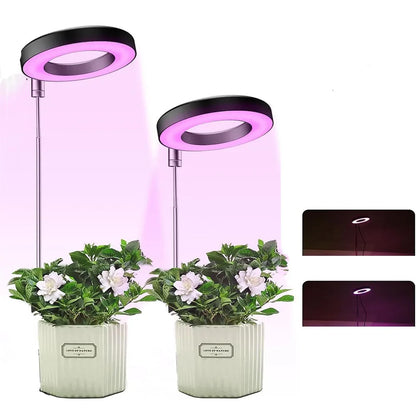 LED plant grow light is round, red and blue light combination, USB telescopic tube inserted into the soil, dimming and color change
