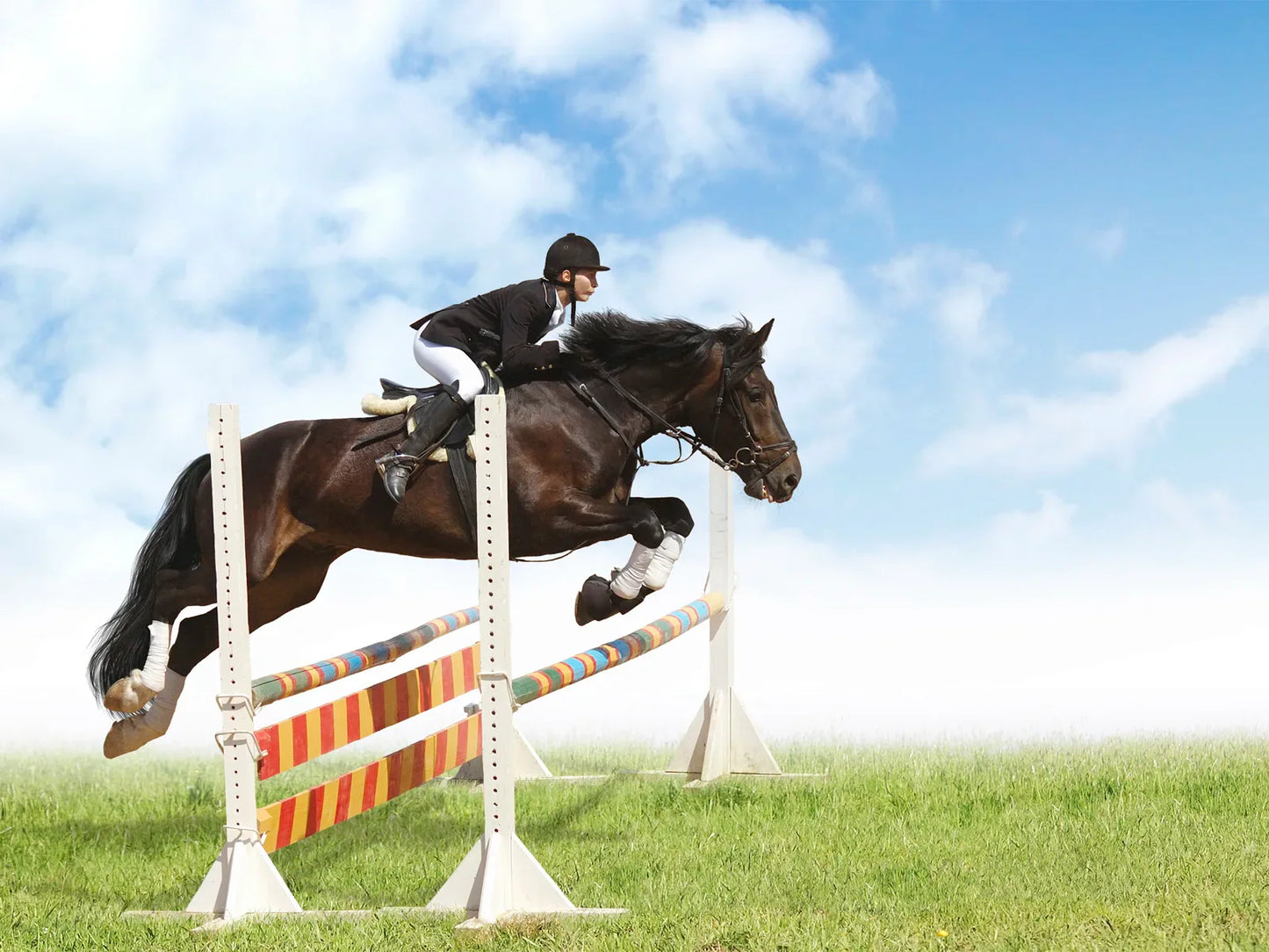 Equestrian Helmet - CE Approved Multi-Density EPS Core & Quick-Dry Padding for Competitive Riding & Leisure Trail Use