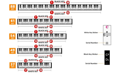 Autocollants pour clavier de piano, étiquettes pour 37 49 54 61 88, blanc et noir prédire, musique électronique