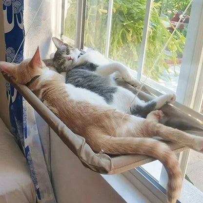 Hamac pour chat, cintre de fenêtre, lavable et détachable, lit pour animaux de compagnie, étagère à aspiration, sac, siège pour chat, fournitures pour animaux de compagnie