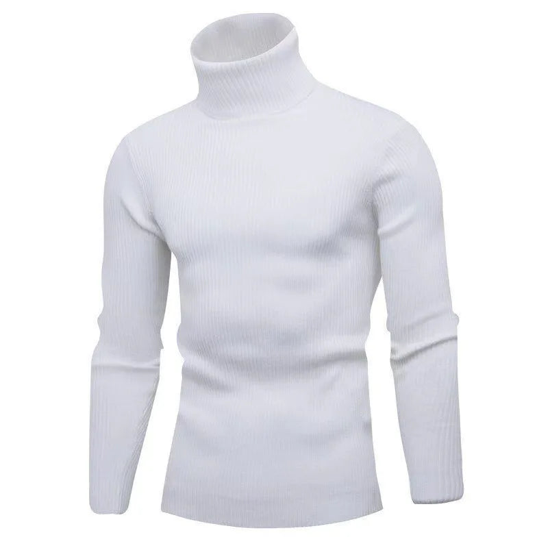 Hommes Pulls Gilets Cols Roulés Tricotés Manches Longues Couleur Unie Décontracté Coupe Slim Épais Épissure Automne Hiver