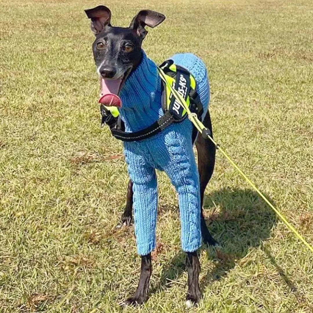 Pull torsadé à col roulé pour chiens, lévriers italiens, manteau chaud pour chien, vêtements d'hiver pour chiens