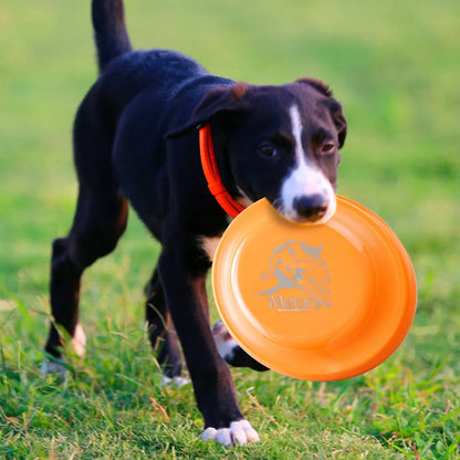 Disque d'entraînement pour chien-animal de compagnie durable pour la formation des chiots et des chiens adultes, jouet d'entraînement léger et facile à accrocher, fournitures essentielles pour animaux de compagnie