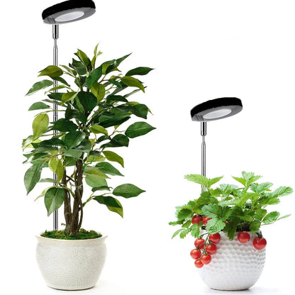LED plant grow light is round, red and blue light combination, USB telescopic tube inserted into the soil, dimming and color change