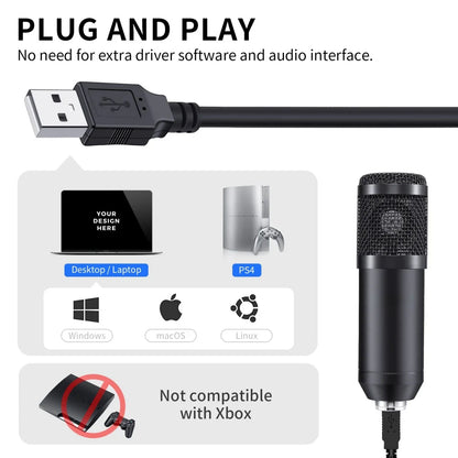 Professional Studio Microphone Live Broadcast Singing Recording Microphone Kits with Suspension Scissor Arm and Metal Shock Mount