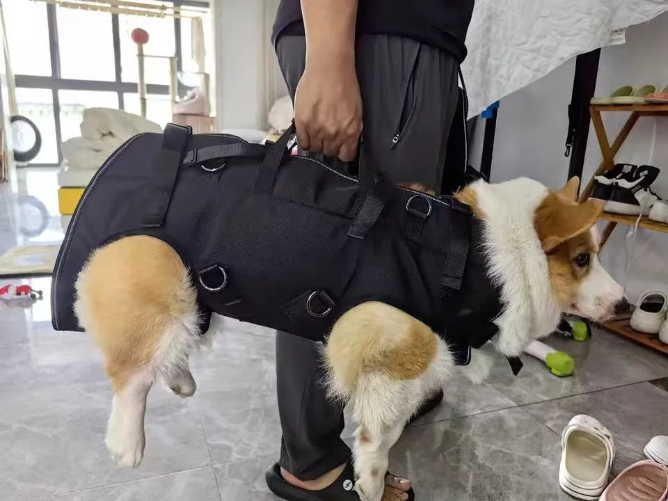 Sac à dos de voyage pour animaux de compagnie (3 tailles), porte-épaule, randonnée en plein air, marche, Durable et confortable, en tissu Oxford, pour chien/chat