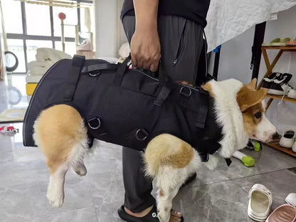 Sac à dos de voyage pour animaux de compagnie (3 tailles), porte-épaule, randonnée en plein air, marche, Durable et confortable, en tissu Oxford, pour chien/chat