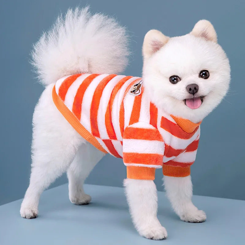 Vêtements pour animaux de compagnie d'automne et d'hiver, rayures arc-en-ciel, mignons et chauds, vêtements pour chats en peluche, fournitures pour chiens, sweat à capuche pour chien, costume Schnauzer