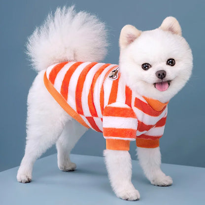 Vêtements pour animaux de compagnie d'automne et d'hiver, rayures arc-en-ciel, mignons et chauds, vêtements pour chats en peluche, fournitures pour chiens, sweat à capuche pour chien, costume Schnauzer
