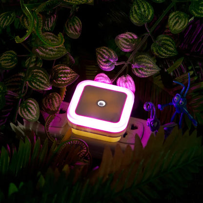 Mini veilleuse LED sans fil avec capteur, prise EU/US, éclairage décoratif pour chambre d'enfant, salon