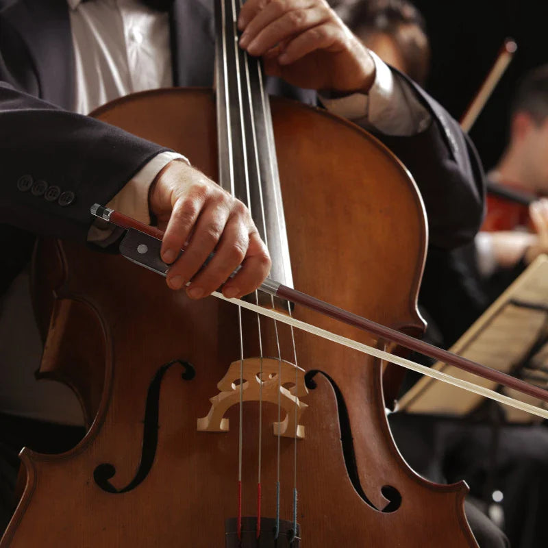 Accessoires pour violoncelle, instrument de musique à cordes, violon, queue de cheval, anciers d'étudiant, arc pleine grandeur, 4