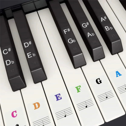 Autocollants pour clavier de piano, étiquettes pour 37 49 54 61 88, blanc et noir prédire, musique électronique