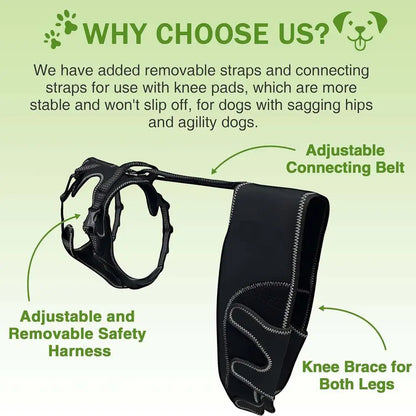 Orthèse orthopédique pour chiens et animaux de compagnie, attelle de soutien orthopédique pour les hanches, Support de jambe réglable pour garder les articulations des animaux au chaud et Stable