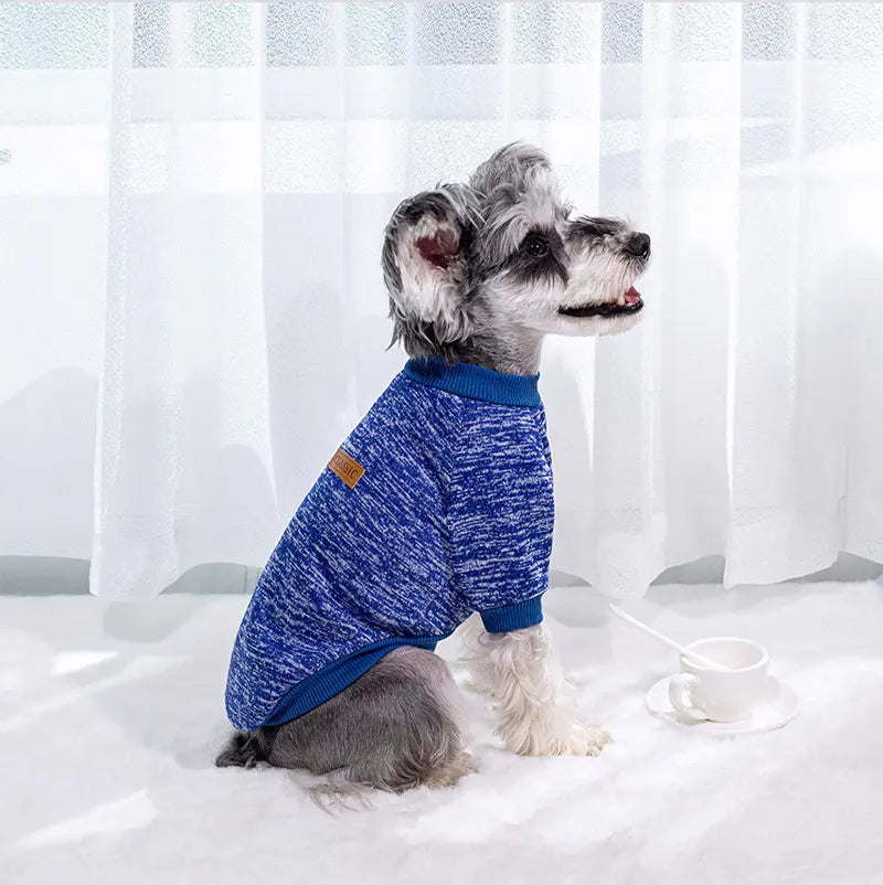 Winter clothes for small dogs, warm coats for Chihuahuas, Schnauzers, Pugs, sweatshirts, casual clothes for dogs and cats, pet access