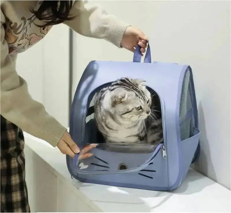 Sac à dos de transport pour animaux de compagnie, grand sac à dos pour chat, Transparent, respirant, Portable, pour chats et chiens, sac à bandoulière de transport