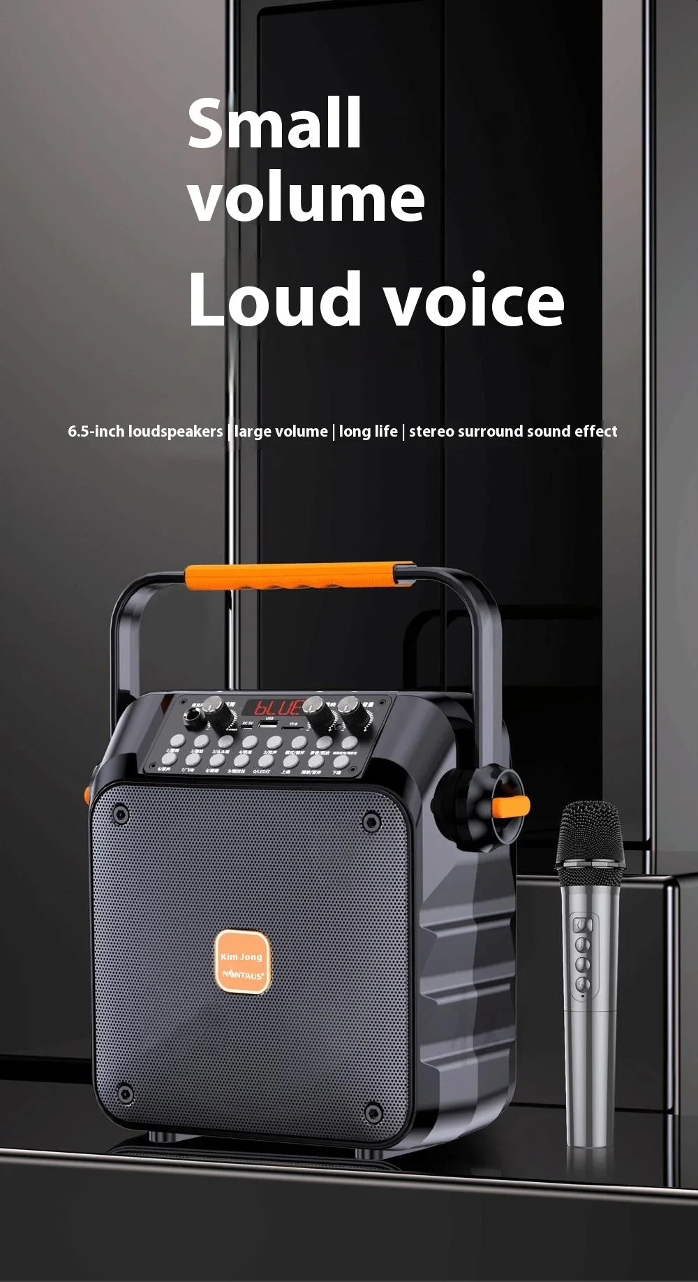 Dual Wireless Microphones & RGB LED Lighting! Outdoor Karaoke Speaker With 30W Power For Camping & Campfires OEM Supplier