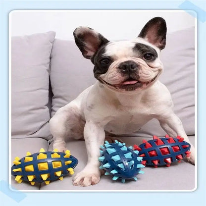 Rugby en caoutchouc pour chien, épines souples, meulage des dents, résistance aux morsures, compression, vocalisation accompagnant les chiens de grande et moyenne taille