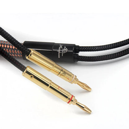 Professional OCC Speaker Lines - Accuphase Anniversary 4x4 Banana Plugs for Hi-Res Systems