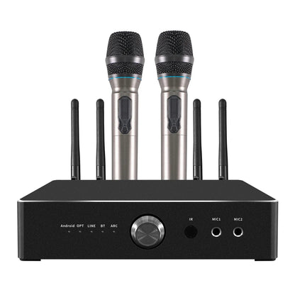 600W Home Amplifier Audio Out Put Karaoke 4ohm Brand New Amplifier with 2 Microphone Support Subwoofer