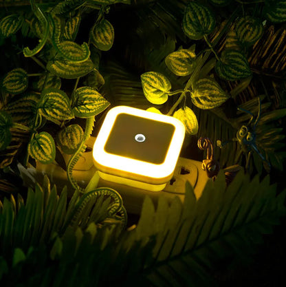 Mini veilleuse LED sans fil avec capteur, prise EU/US, éclairage décoratif pour chambre d'enfant, salon