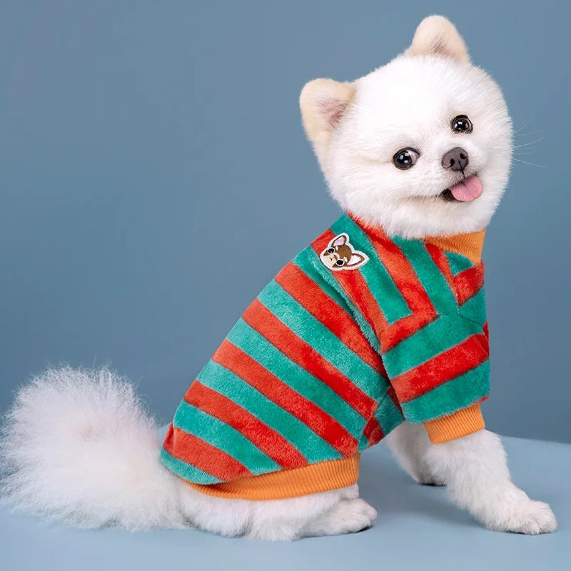 Vêtements pour animaux de compagnie d'automne et d'hiver, rayures arc-en-ciel, mignons et chauds, vêtements pour chats en peluche, fournitures pour chiens, sweat à capuche pour chien, costume Schnauzer