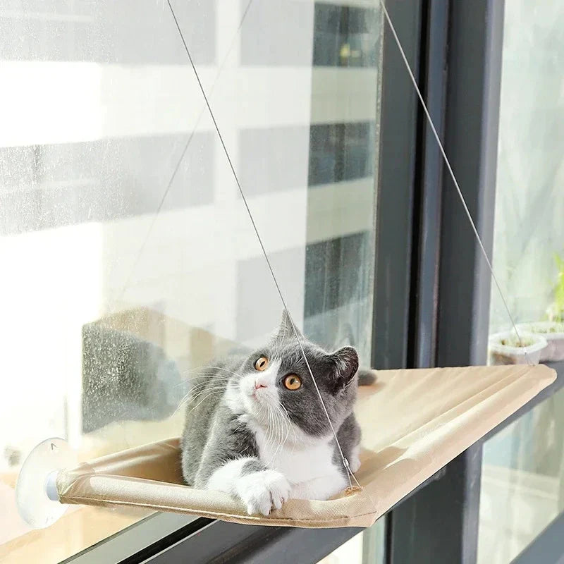 Hamac pour chat, cintre de fenêtre, lavable et détachable, lit pour animaux de compagnie, étagère à aspiration, sac, siège pour chat, fournitures pour animaux de compagnie