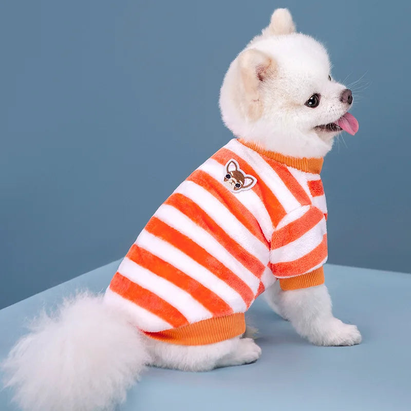 Vêtements pour animaux de compagnie à rayures arc-en-ciel pour automne et hiver, mignons et chauds, vêtements pour chatons et chiens, sweat à capuche pour chien, costume de Schnauzer