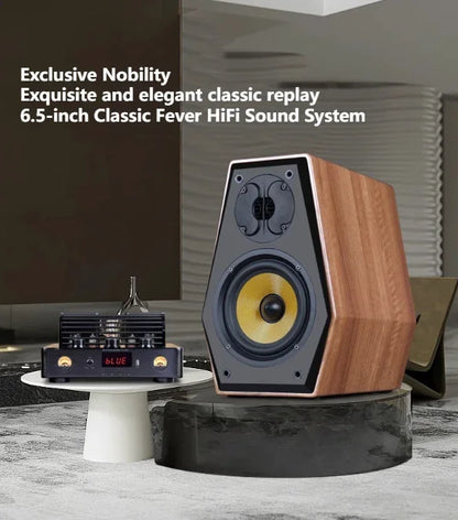SoundHigh Quality Tube Amplifier 2.0 HIFI Passive Speakers Sound System Home Theater Bookshelf Speakers