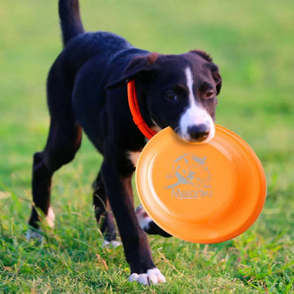 Durable pet dog training disc for puppy and adult dog training, lightweight and easy-to-hang training toy, essential pet supplies