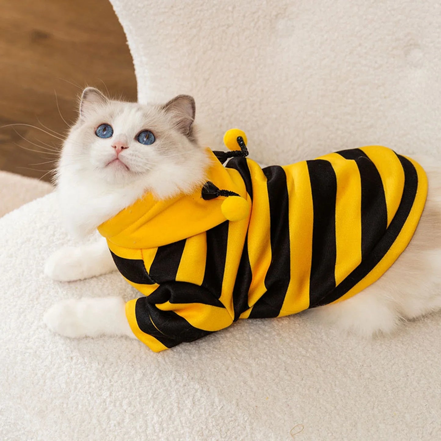 Cat costume, bee, Halloween costume, small pet clothing, fashion, adorable cat hoodies