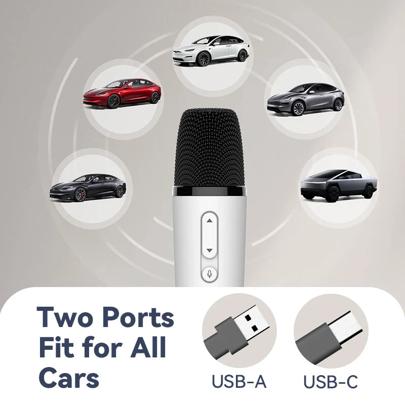 T1-Car Karaoke Microphone, Rechargeable Caraoke Mic with USB-A & USB-C Receiver, Plug to Use，No Need Pair