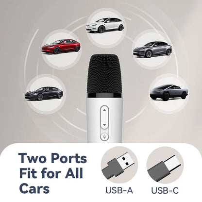 T1-Car Karaoke Microphone, Rechargeable Caraoke Mic with USB-A & USB-C Receiver, Plug to Use，No Need Pair