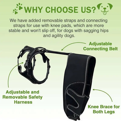 Orthèse orthopédique pour chiens et animaux de compagnie, attelle de soutien orthopédique pour les hanches, Support de jambe réglable pour garder les articulations des animaux au chaud et Stable