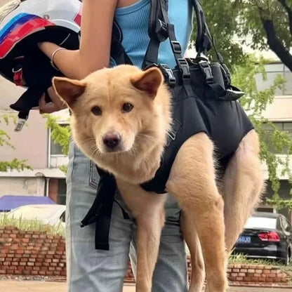 Sac à dos de voyage pour animaux de compagnie (3 tailles), porte-épaule, randonnée en plein air, marche, Durable et confortable, en tissu Oxford, pour chien/chat