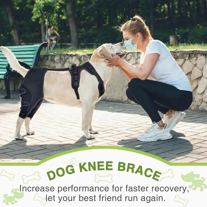Orthèse orthopédique pour chiens et animaux de compagnie, attelle de soutien orthopédique pour les hanches, Support de jambe réglable pour garder les articulations des animaux au chaud et Stable