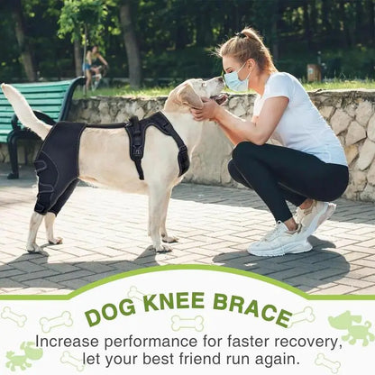 Orthèse orthopédique pour chiens et animaux de compagnie, attelle de soutien orthopédique pour les hanches, Support de jambe réglable pour garder les articulations des animaux au chaud et Stable