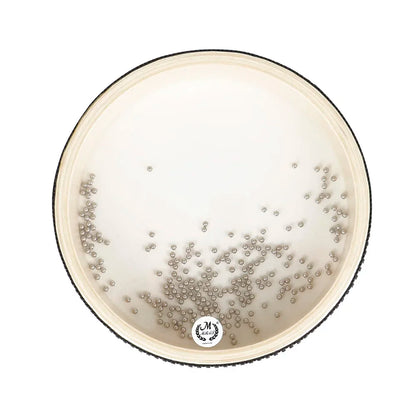 Tambour de perles de vague d'océan pour enfant, pour bébé, apprentissage précoce, Instrument de musique, jouets, son de mer doux, jouet éducatif Musical