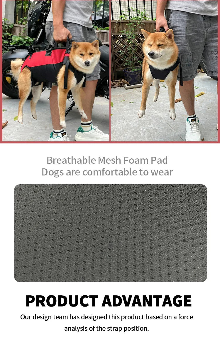 Sac à dos de voyage pour animaux de compagnie (3 tailles), porte-épaule, randonnée en plein air, marche, Durable et confortable, en tissu Oxford, pour chien/chat
