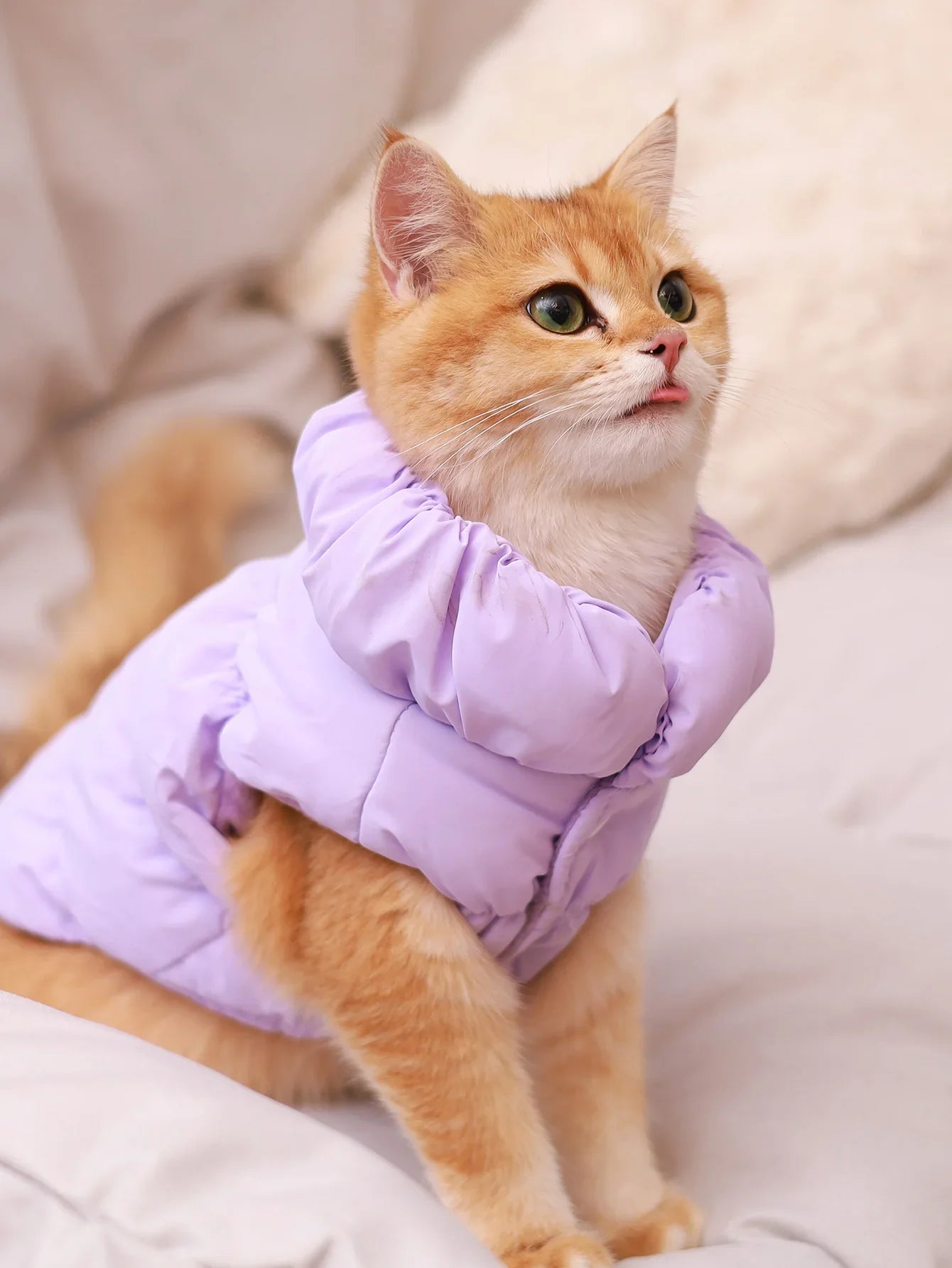 Veste pour chien pour automne/hiver, manteau pour animaux de compagnie, vêtements d'extérieur chauds épais à 3 couches, adapté aux chiens de petite à moyenne taille comme caniche, Teddy, York