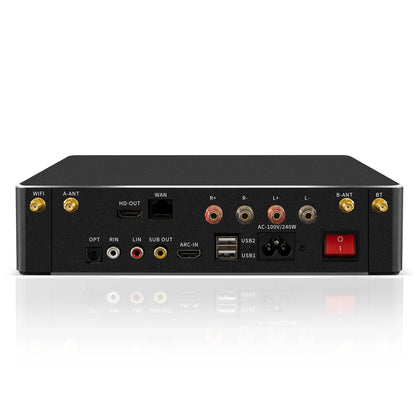 600W Home Amplifier Audio Out Put Karaoke 4ohm Brand New Amplifier with 2 Microphone Support Subwoofer
