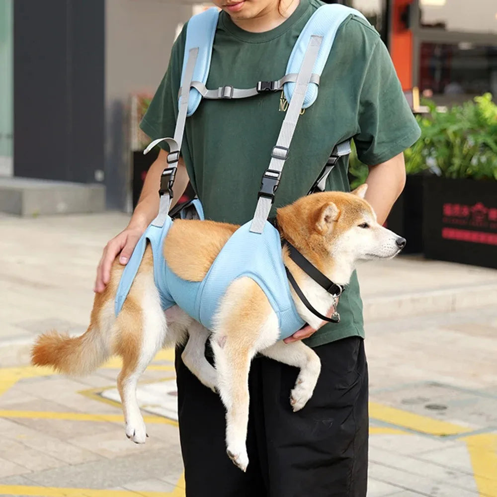 Pet Backpack, Dog Basket, Pet Accessories, Cat Travel Bags, Carrier Bag, Supplies, Home and Garden Products