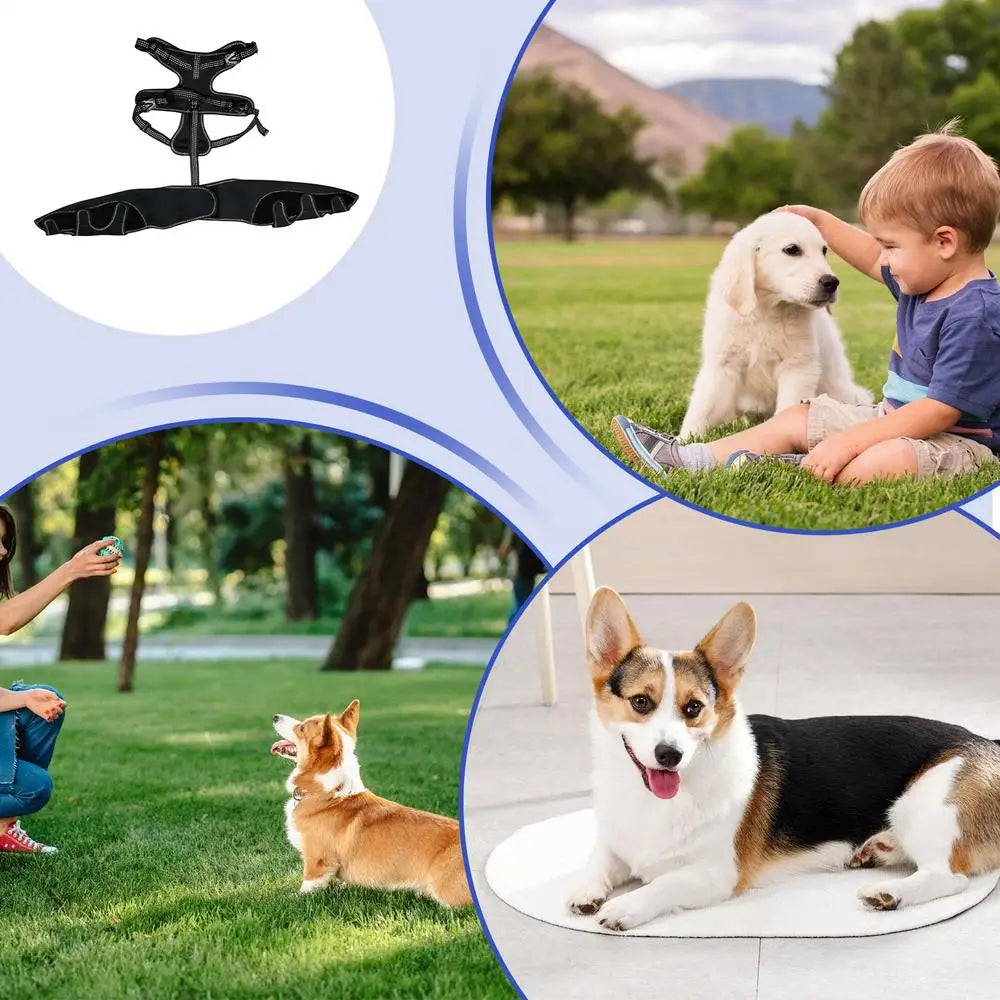 Orthèse orthopédique pour chiens et animaux de compagnie, attelle de soutien orthopédique pour les hanches, Support de jambe réglable pour garder les articulations des animaux au chaud et Stable