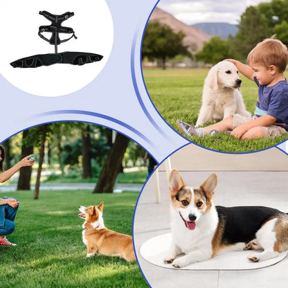 Orthèse orthopédique pour chiens et animaux de compagnie, attelle de soutien orthopédique pour les hanches, Support de jambe réglable pour garder les articulations des animaux au chaud et Stable