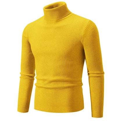 Hommes Pulls Gilets Cols Roulés Tricotés Manches Longues Couleur Unie Décontracté Coupe Slim Épais Épissure Automne Hiver