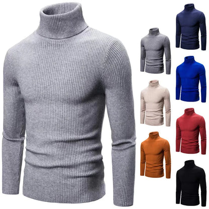 Hommes Pulls Gilets Cols Roulés Tricotés Manches Longues Couleur Unie Décontracté Coupe Slim Épais Épissure Automne Hiver