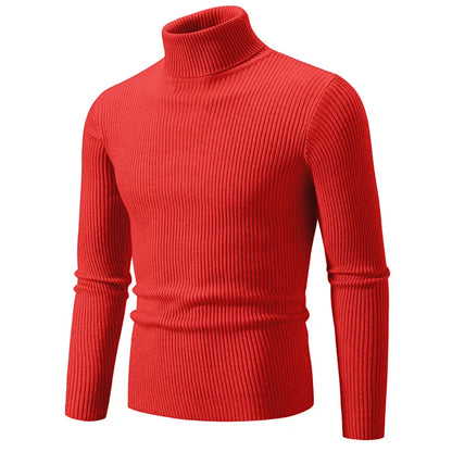 Hommes Pulls Gilets Cols Roulés Tricotés Manches Longues Couleur Unie Décontracté Coupe Slim Épais Épissure Automne Hiver