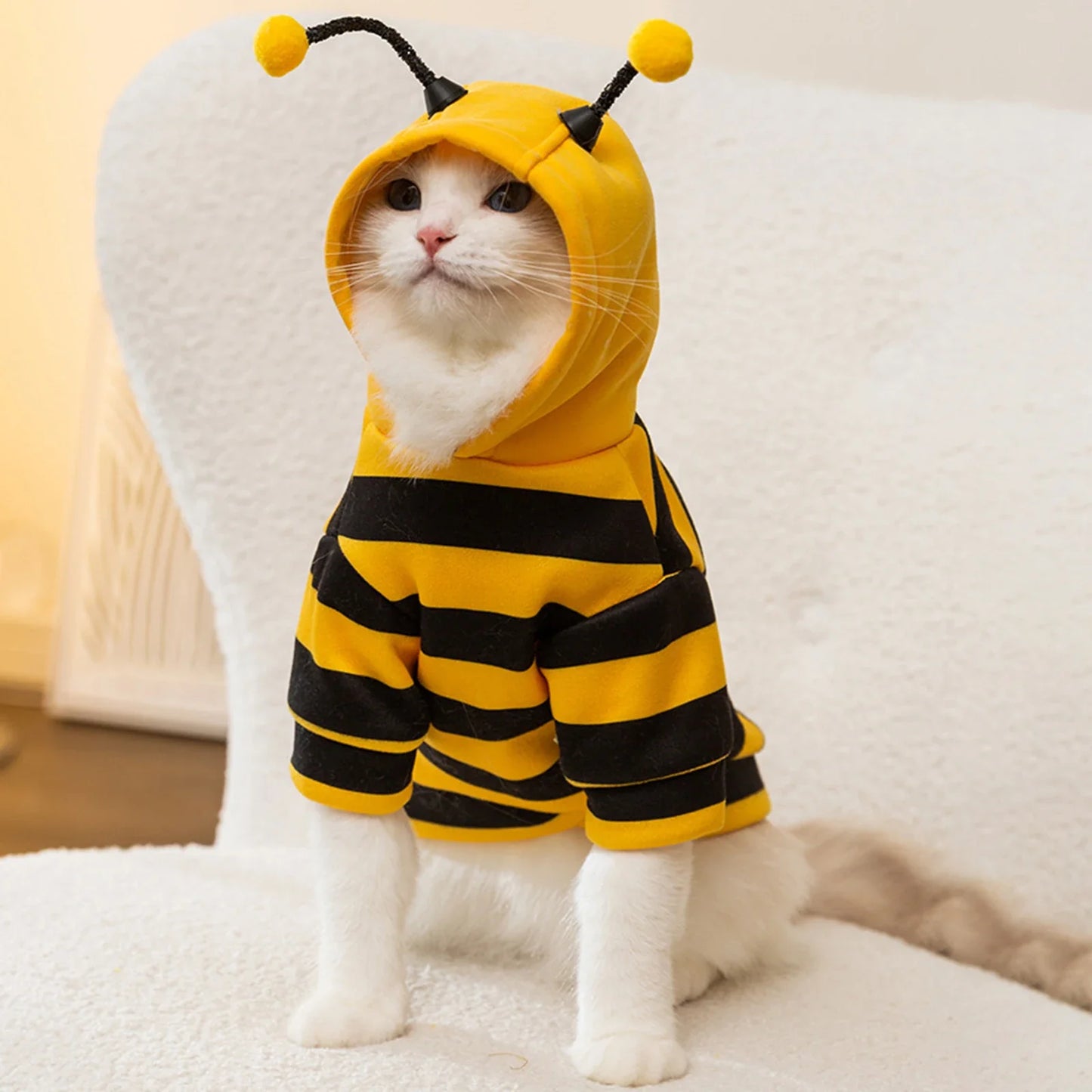 Cat costume, bee, Halloween costume, small pet clothing, fashion, adorable cat hoodies